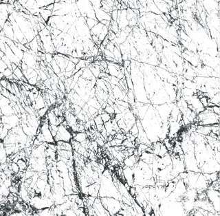 سرامیک 60*60 - تفلیس سفید بدنه سفید مات